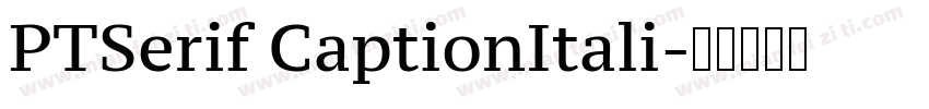 PTSerif CaptionItali字体转换